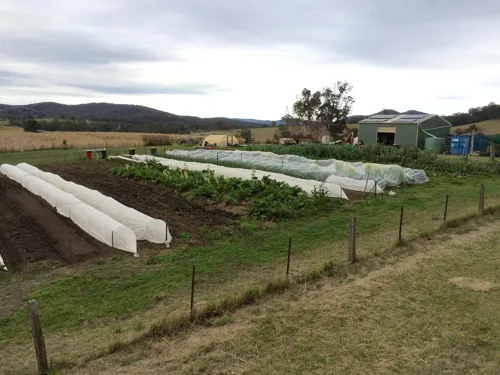 IMG-2734.jpg IMG-2734.jpg