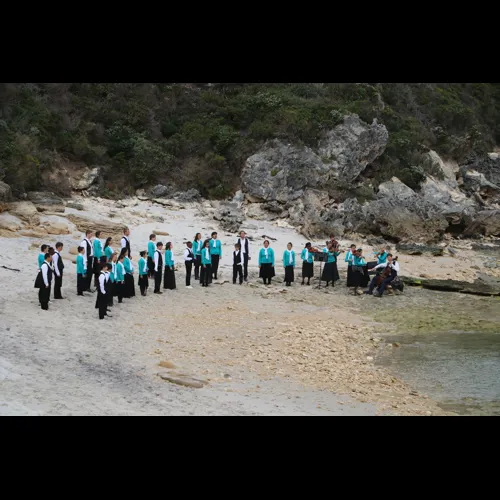 DSozo-WA-2018112.jpg