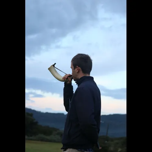 DSozo-WA-2018132.jpg